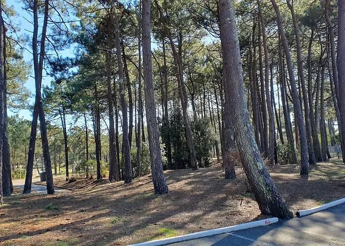 Charmante Maison Dans La Pinede 4 Pers. *